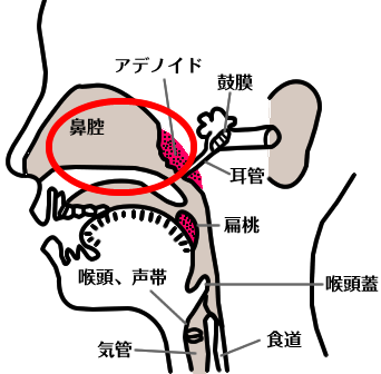 痰 の 切れ が 悪い