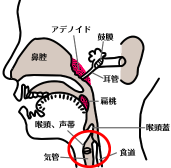 重視していること 茅ヶ崎の小児科 はまみこどもくりにっく